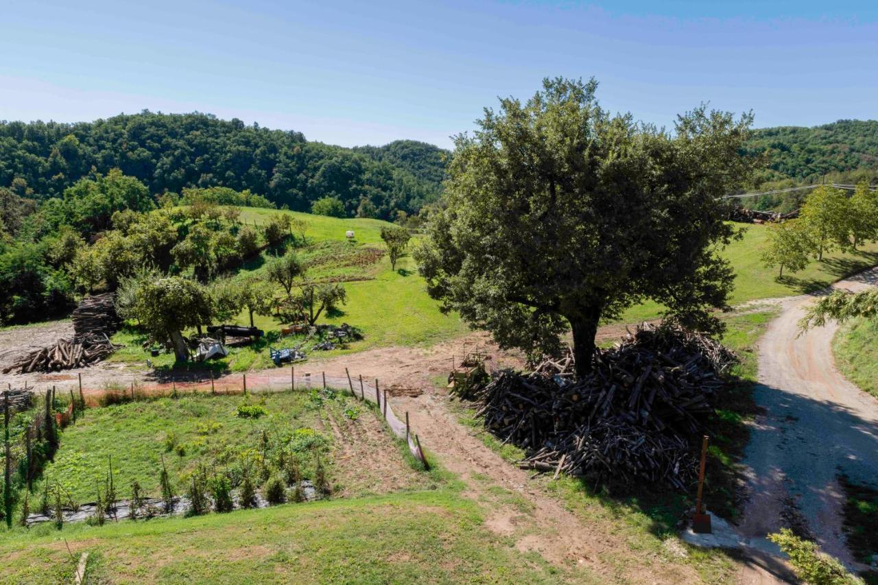 *Appartamento*+WIFI+Free Parking+20 min zocca Tole Esterno foto