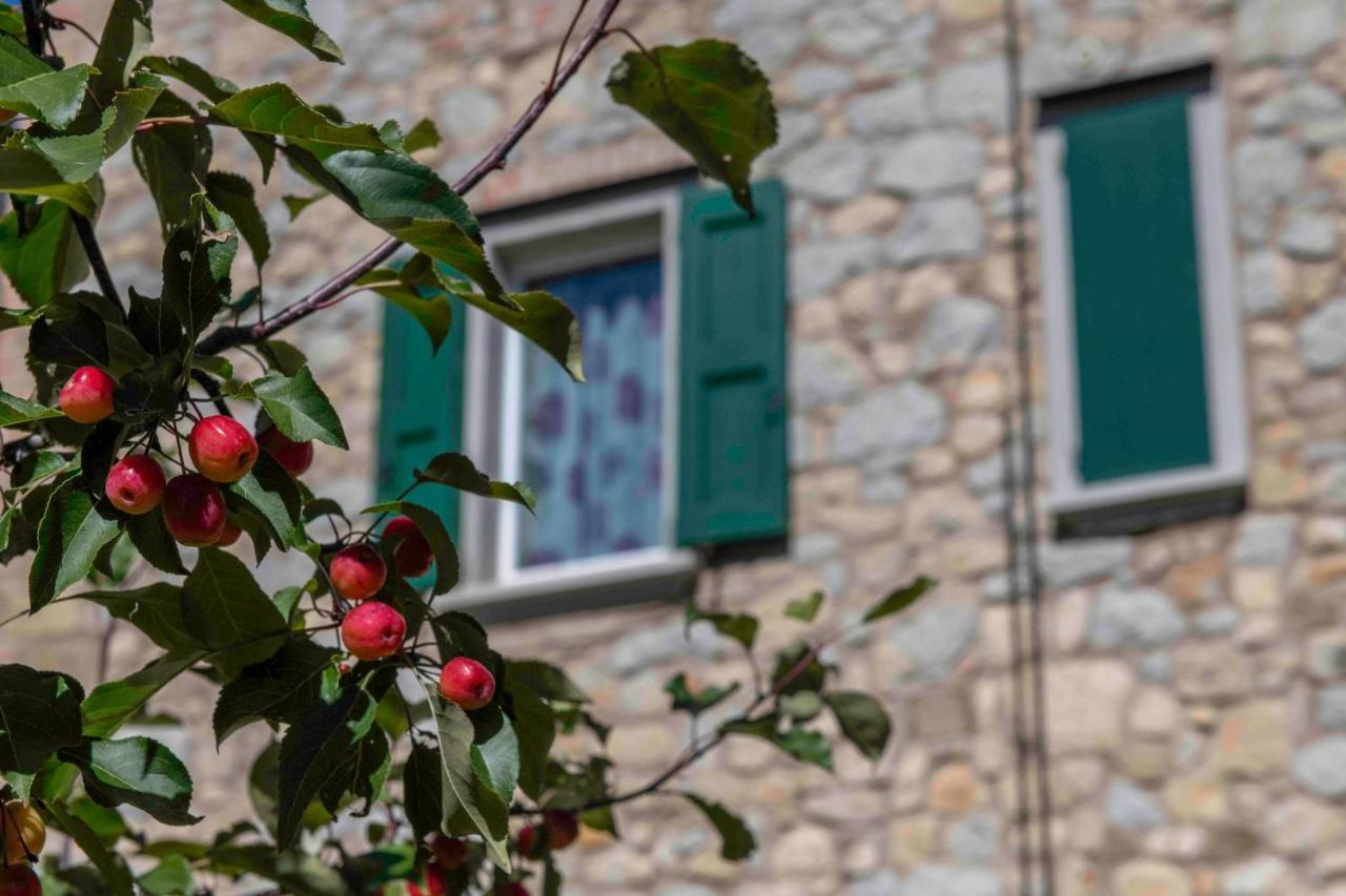 *Appartamento*+WIFI+Free Parking+20 min zocca Tole Esterno foto